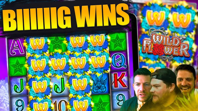 카지노사이트 모음